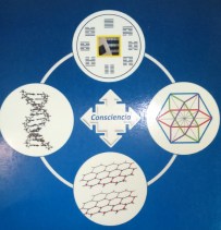 contraportada-libro-manuela