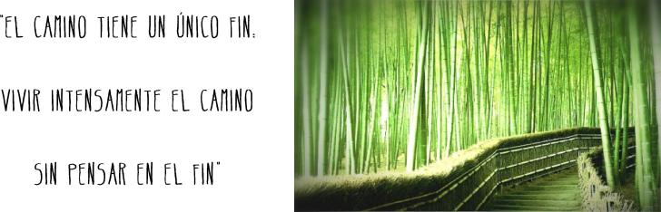 Imagen de  "Do: El Camino". 