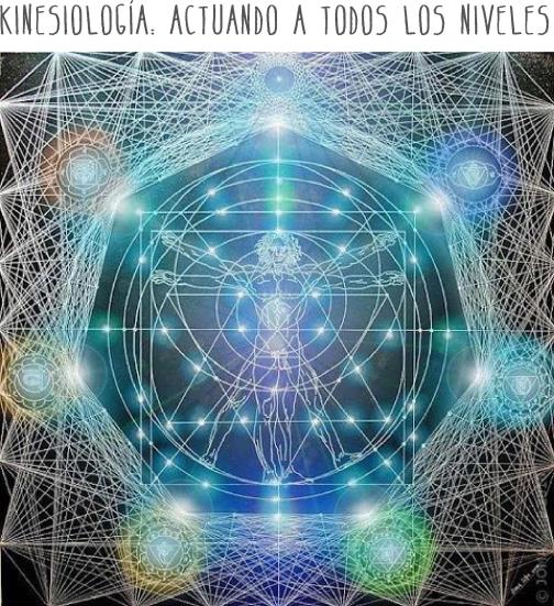 kinesiología niveles del ser